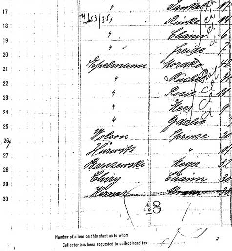 Ellis Island Ship Manifest